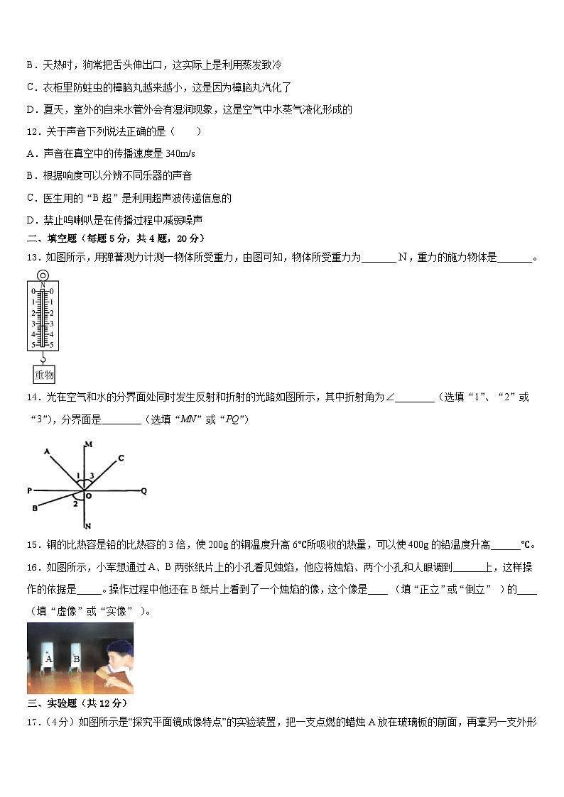 山东省青岛市2023-2024学年物理八年级第一学期期末检测模拟试题含答案03