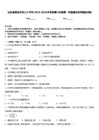 山东省青岛市沧口2中学2023-2024学年物理八年级第一学期期末统考模拟试题含答案