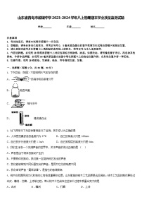 山东省青岛市超银中学2023-2024学年八上物理期末学业质量监测试题含答案