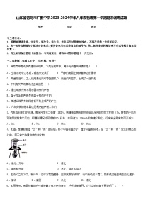 山东省青岛市广雅中学2023-2024学年八年级物理第一学期期末调研试题含答案