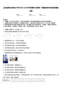 山东省青岛市黄岛十中学2023-2024学年物理八年级第一学期期末教学质量检测模拟试题含答案