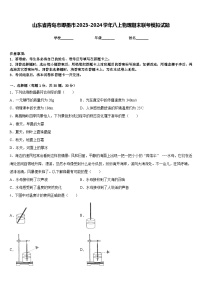 山东省青岛市即墨市2023-2024学年八上物理期末联考模拟试题含答案