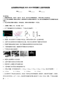 山东省青岛市崂山区2023-2024学年物理八上期末检测试题含答案