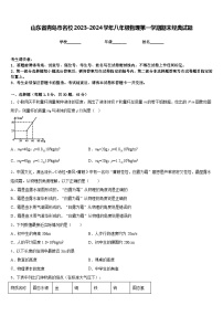 山东省青岛市名校2023-2024学年八年级物理第一学期期末经典试题含答案