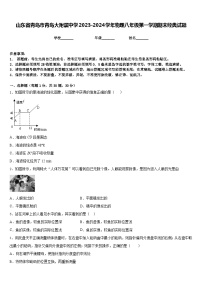 山东省青岛市青岛大附属中学2023-2024学年物理八年级第一学期期末经典试题含答案