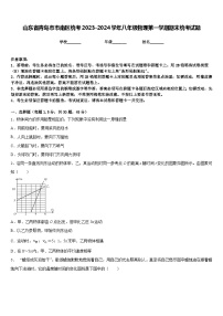 山东省青岛市市南区统考2023-2024学年八年级物理第一学期期末统考试题含答案