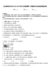 山东省青岛市五校2023-2024学年八年级物理第一学期期末学业质量监测模拟试题含答案