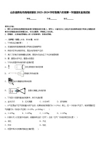 山东省青岛市西海岸新区2023-2024学年物理八年级第一学期期末监测试题含答案