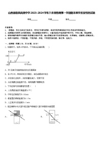 山西省临县高级中学2023-2024学年八年级物理第一学期期末教学质量检测试题含答案