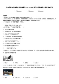 山东省青岛市西海岸新区四中学2023-2024学年八上物理期末达标测试试题含答案