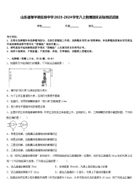 山东省邹平县实验中学2023-2024学年八上物理期末达标测试试题含答案