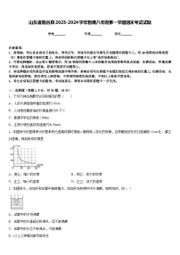 山东省阳谷县2023-2024学年物理八年级第一学期期末考试试题含答案