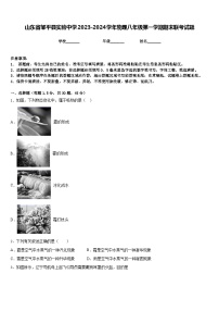 山东省邹平县实验中学2023-2024学年物理八年级第一学期期末联考试题含答案