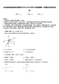 山东省青岛西海岸新区第四中学2023-2024学年八年级物理第一学期期末达标检测试题含答案