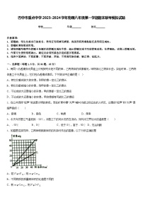 巴中市重点中学2023-2024学年物理八年级第一学期期末联考模拟试题含答案