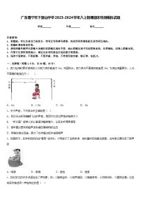 广东普宁市下架山中学2023-2024学年八上物理期末检测模拟试题含答案