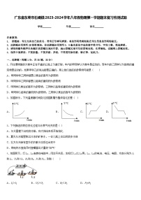 广东省东莞市石碣镇2023-2024学年八年级物理第一学期期末复习检测试题含答案