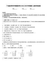 广东省东莞市中学堂星晨学校2023-2024学年物理八上期末检测试题含答案