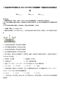 广东省东莞市中学堂镇六校2023-2024学年八年级物理第一学期期末综合测试模拟试题含答案