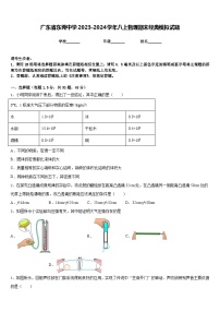 广东省东莞中学2023-2024学年八上物理期末经典模拟试题含答案