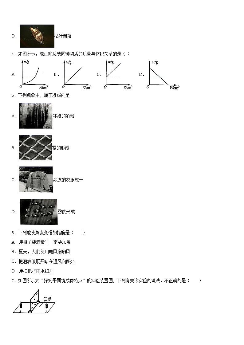 平凉市重点中学2023-2024学年八上物理期末检测模拟试题含答案第2页