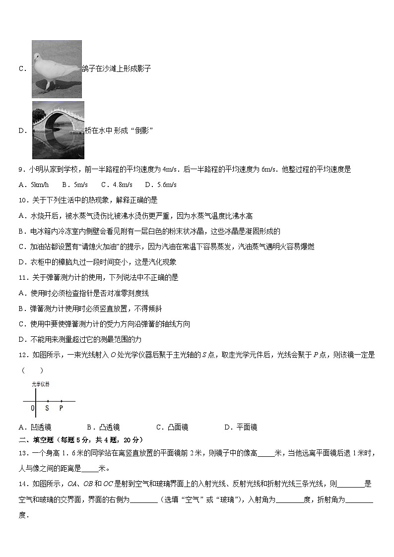 山西省（大同）2023-2024学年物理八上期末复习检测模拟试题含答案第3页