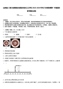 山西省（太原大同晋城运城临汾地区公立学校2023-2024学年八年级物理第一学期期末联考模拟试题含答案