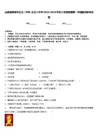 山西省朔州市右玉二中学、右玉三中学2023-2024学年八年级物理第一学期期末联考试题含答案