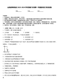 山西省朔州地区2023-2024学年物理八年级第一学期期末复习检测试题含答案