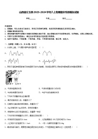 山西省左玉县2023-2024学年八上物理期末检测模拟试题含答案