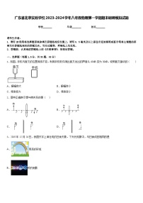 广东省北亭实验学校2023-2024学年八年级物理第一学期期末调研模拟试题含答案