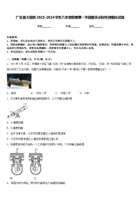 广东省大埔县2023-2024学年八年级物理第一学期期末达标检测模拟试题含答案