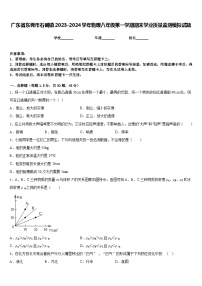 广东省东莞市石碣镇2023-2024学年物理八年级第一学期期末学业质量监测模拟试题含答案