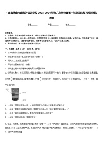 广东省佛山市南海外国语学校2023-2024学年八年级物理第一学期期末复习检测模拟试题含答案