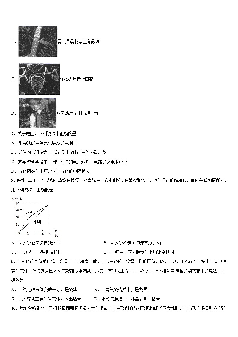 广东省佛山市顺德区碧桂园学校2023-2024学年八上物理期末检测模拟试题含答案03