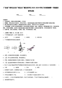 广东省广州市白云区广州白云广雅实验学校2023-2024学年八年级物理第一学期期末联考试题含答案