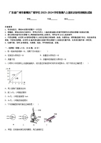 广东省广州市番禺区广博学校2023-2024学年物理八上期末达标检测模拟试题含答案