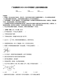 广东省惠州市2023-2024学年物理八上期末经典模拟试题含答案