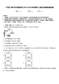 广东省广州市天河外国语学校2023-2024学年物理八上期末质量跟踪监视试题含答案