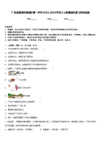 广东省惠州市惠城区第一中学2023-2024学年八上物理期末复习检测试题含答案