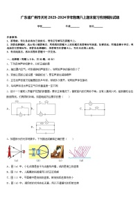 广东省广州市天河2023-2024学年物理八上期末复习检测模拟试题含答案