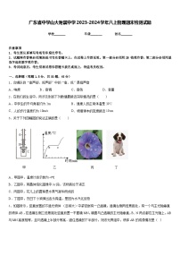 广东省中学山大附属中学2023-2024学年八上物理期末检测试题含答案