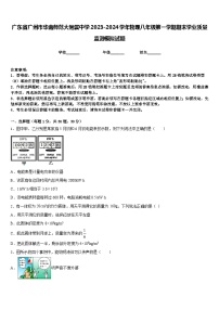 广东省广州市华南师范大附属中学2023-2024学年物理八年级第一学期期末学业质量监测模拟试题含答案