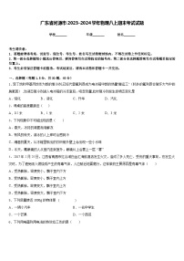 广东省河源市2023-2024学年物理八上期末考试试题含答案