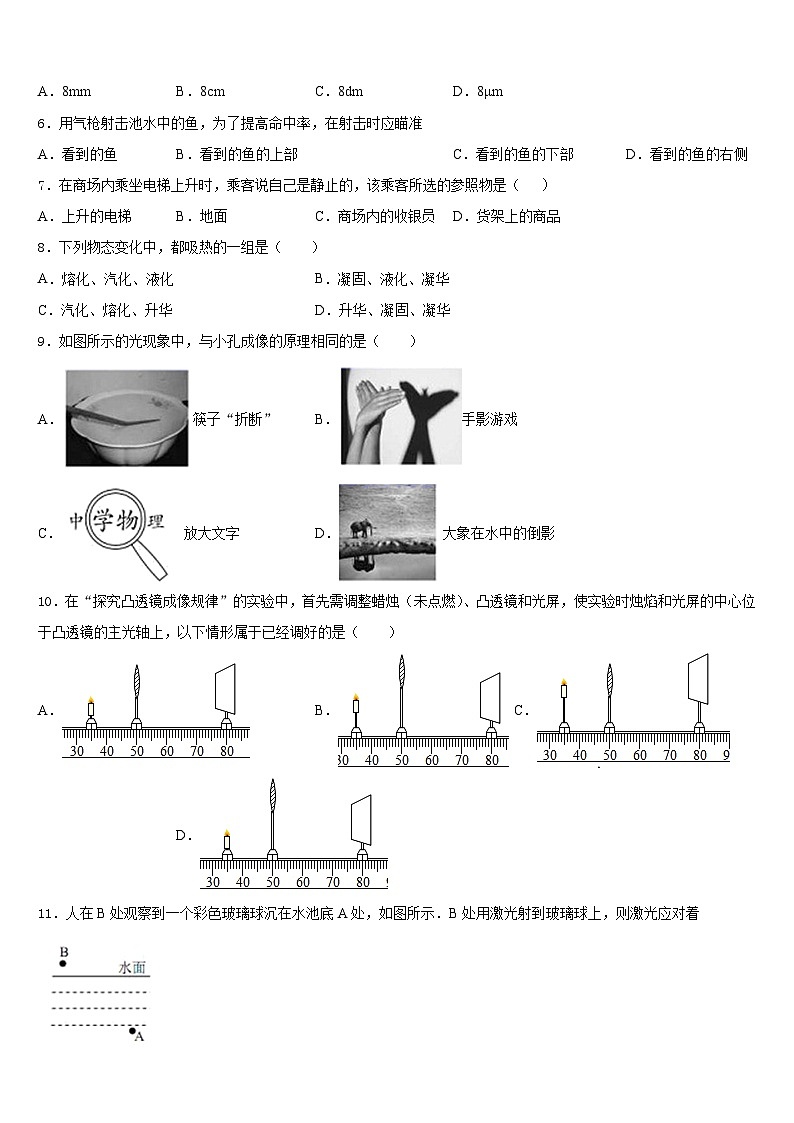 广东省惠阳市马安中学2023-2024学年八年级物理第一学期期末预测试题含答案第2页