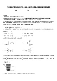 广东省江门市培英初级中学2023-2024学年物理八上期末复习检测试题含答案