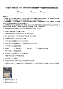 广东省江门市蓬江区2023-2024学年八年级物理第一学期期末综合测试模拟试题含答案