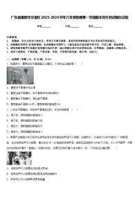 广东省揭阳市空港区2023-2024学年八年级物理第一学期期末综合测试模拟试题含答案