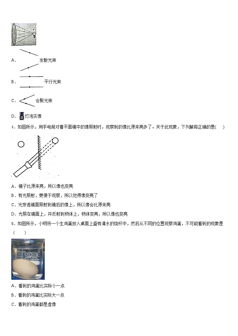 广东省揭阳市普宁市2023-2024学年八年级物理第一学期期末教学质量检测试题含答案第2页