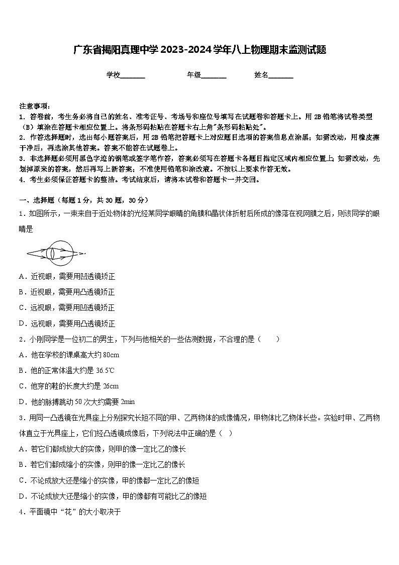 广东省揭阳真理中学2023-2024学年八上物理期末监测试题含答案01